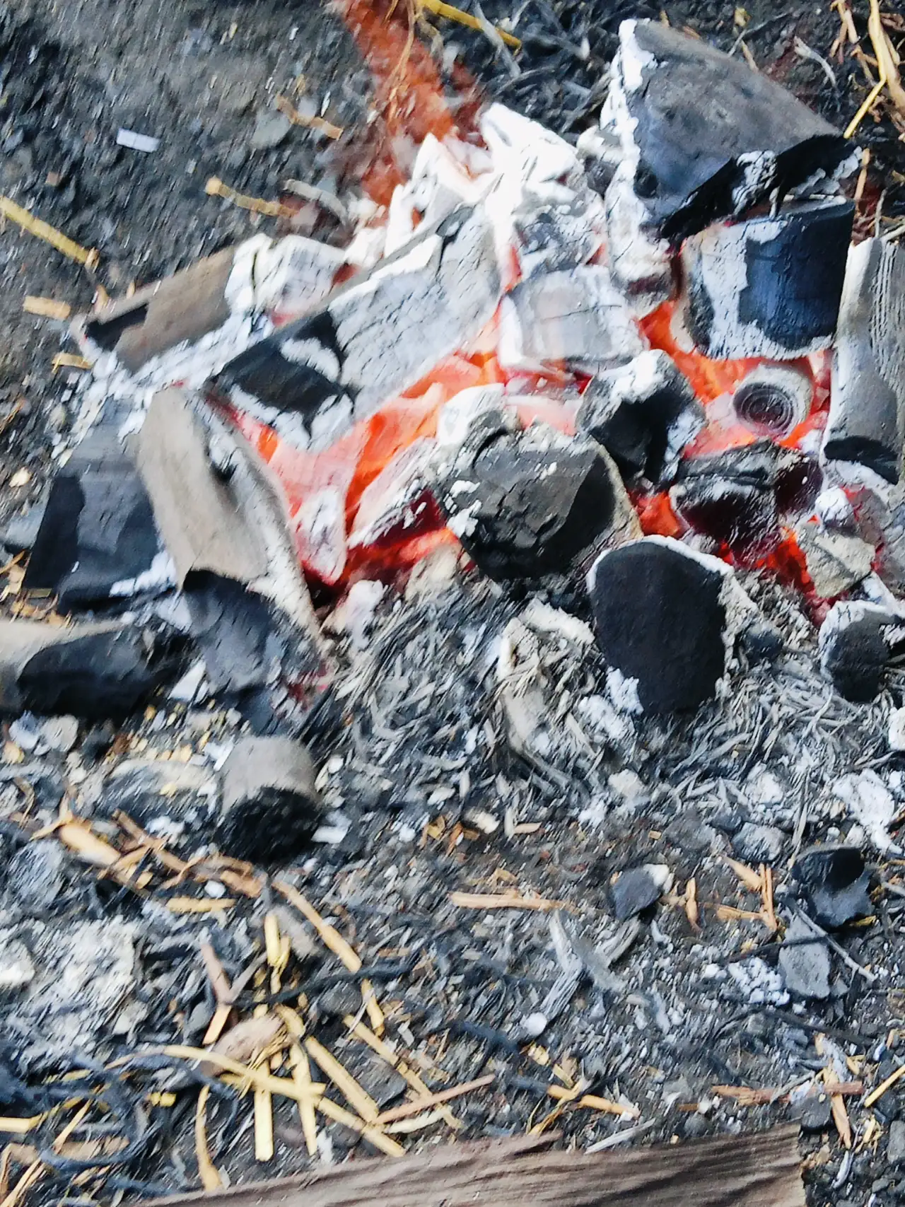 10 Tips for Perfect Charcoal Grilling
