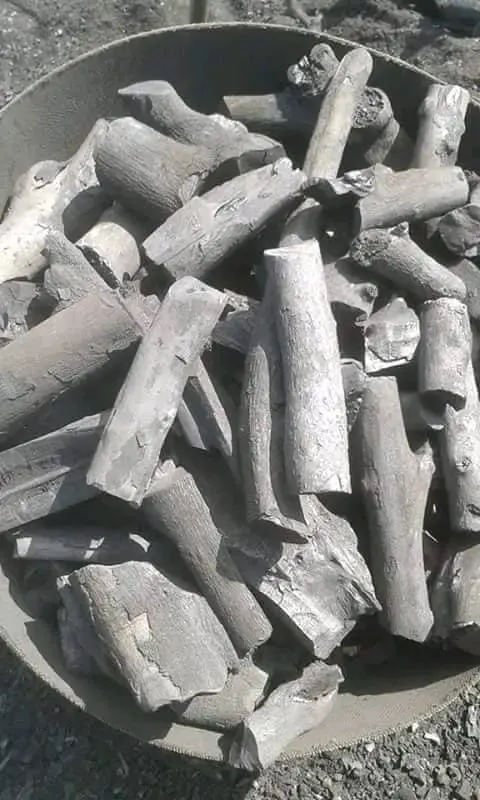 Charcoal vs Coal: Differences in Source, Use and Safety